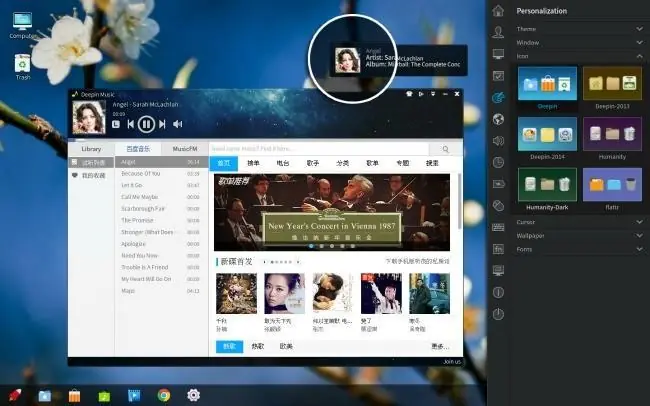 linux mint 171