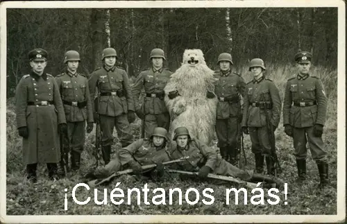 fotos graciosas fotos graciosas
