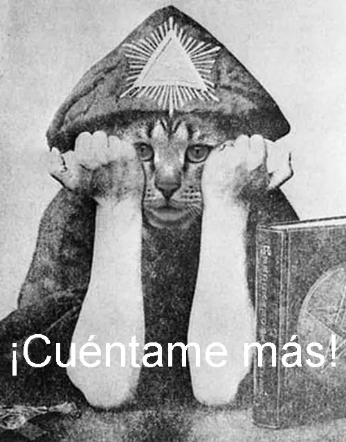 humor humor
