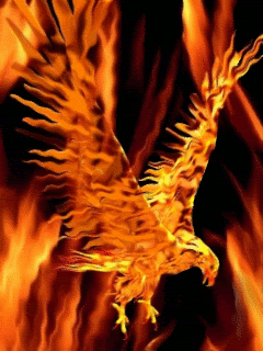 fenix