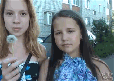 Gifs (parte 2)