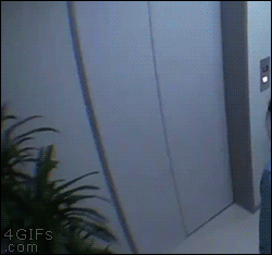 Gifs (parte 2)