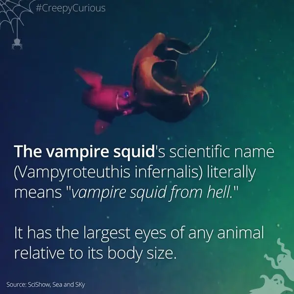 111 Curiosidades de la ciencia. si. 111.