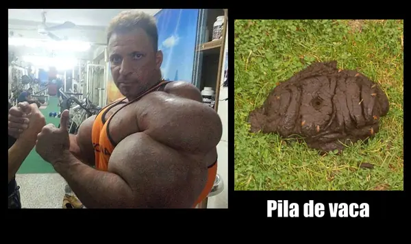 El look  de los fisiculturistas de mentira