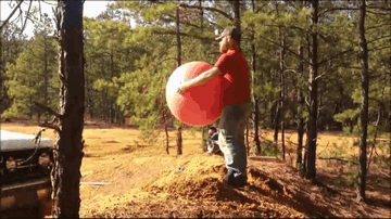 Gifs