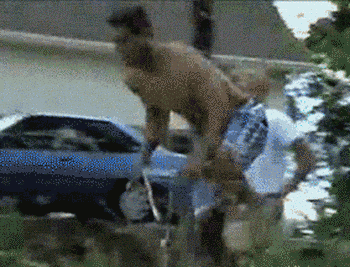 Gifs