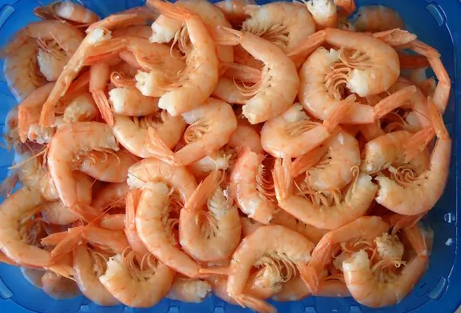 fideos