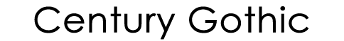 v1