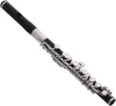 Flautas Info Imagenes