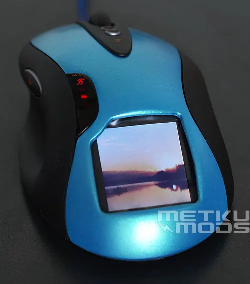 mouse