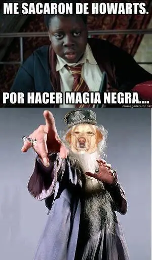 humor