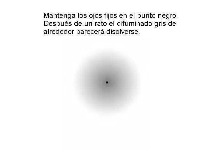 ilusiones opticas