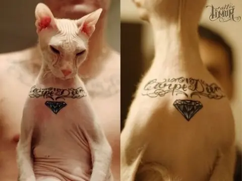 tatuadores
