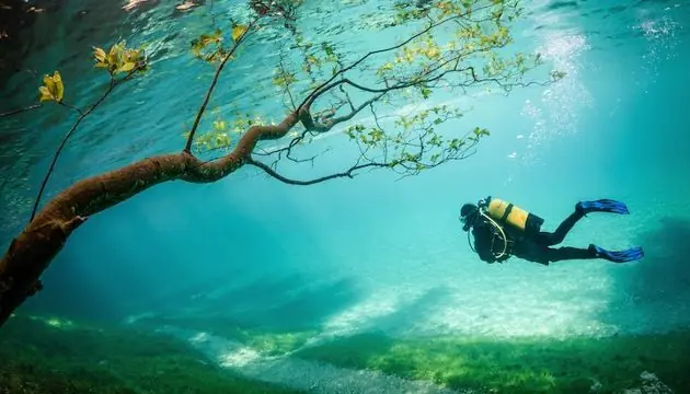 ecologia