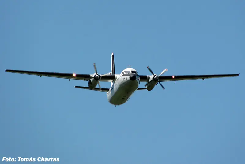 aerea