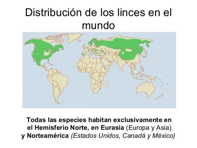 taringa