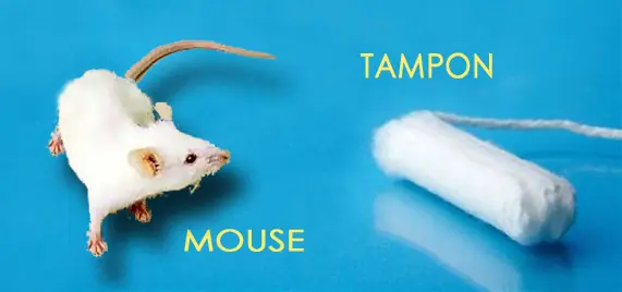 Tampon