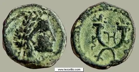 Islam: las mujeres de Allah