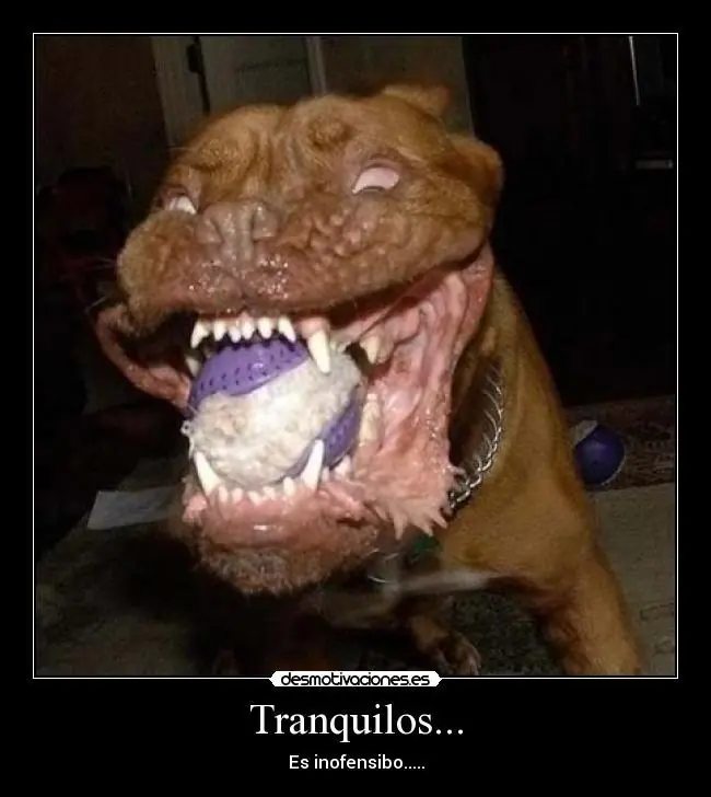 Chistes