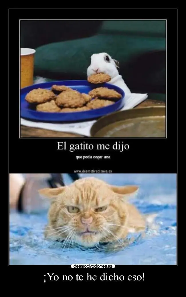 Humor Grafico