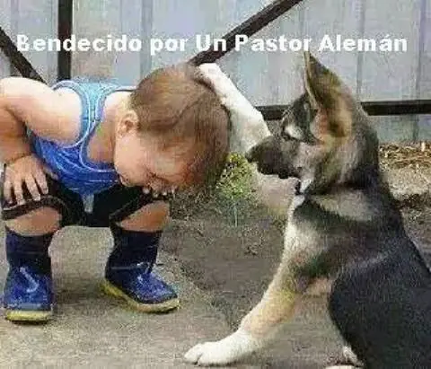 religion