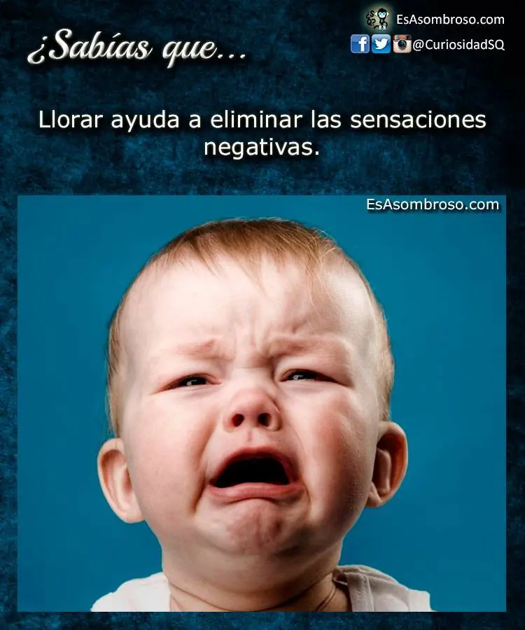ciencia
