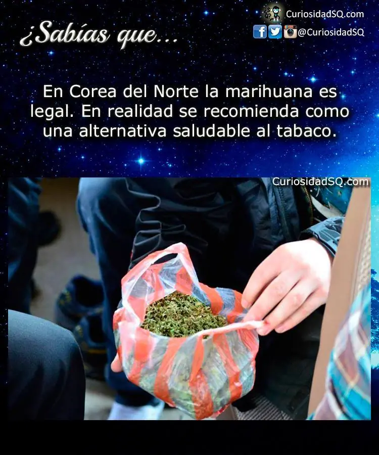 curiosidad