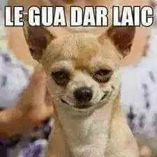 memes