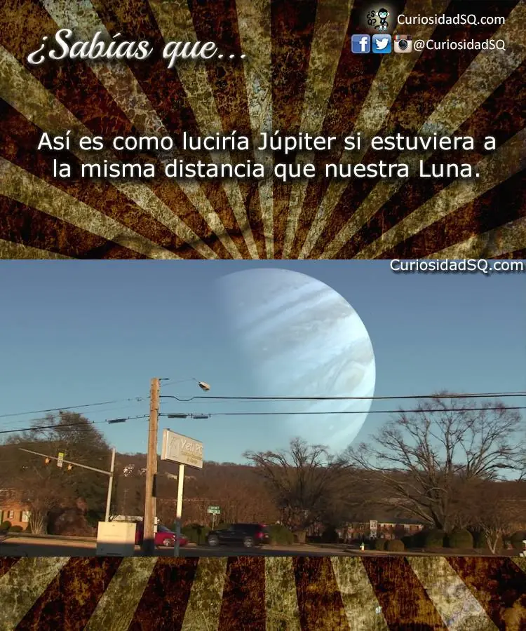 curiosidad