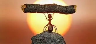 formas de motivacion