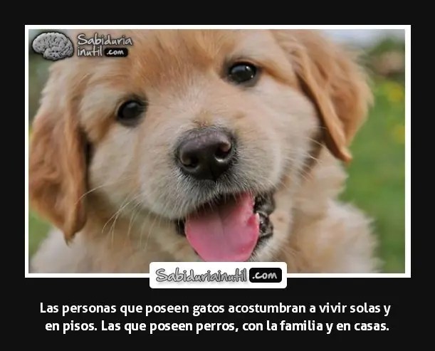 ciencia