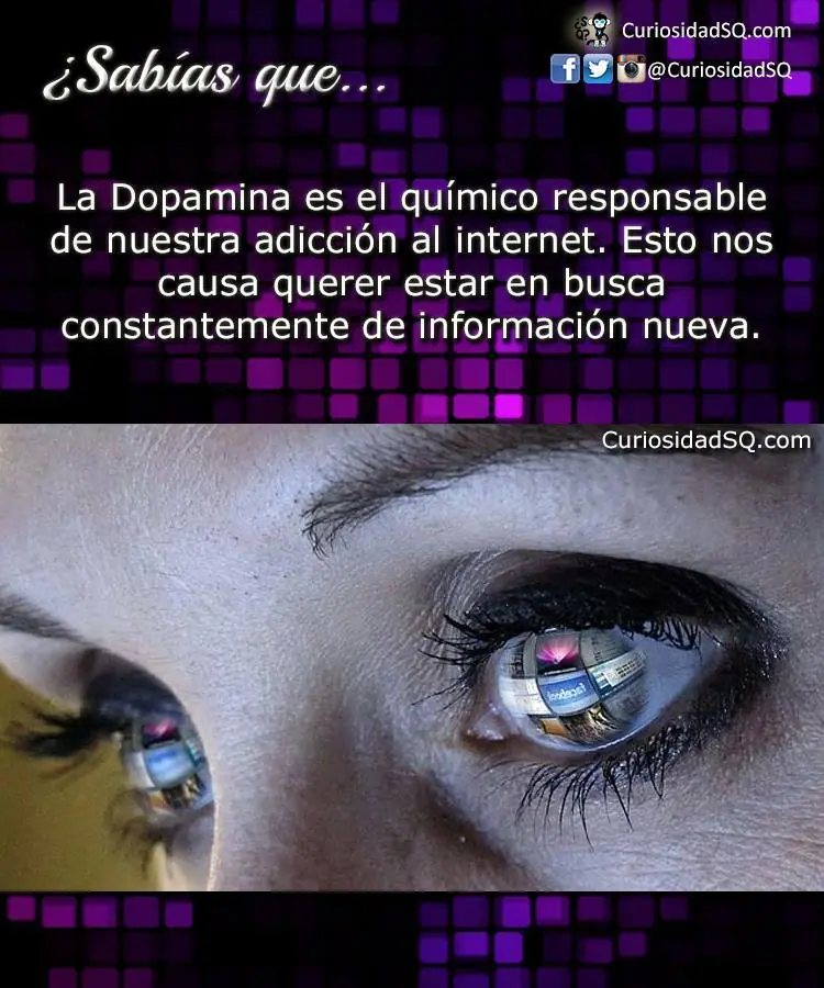 curiosidades