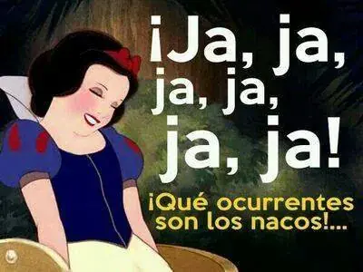 memes