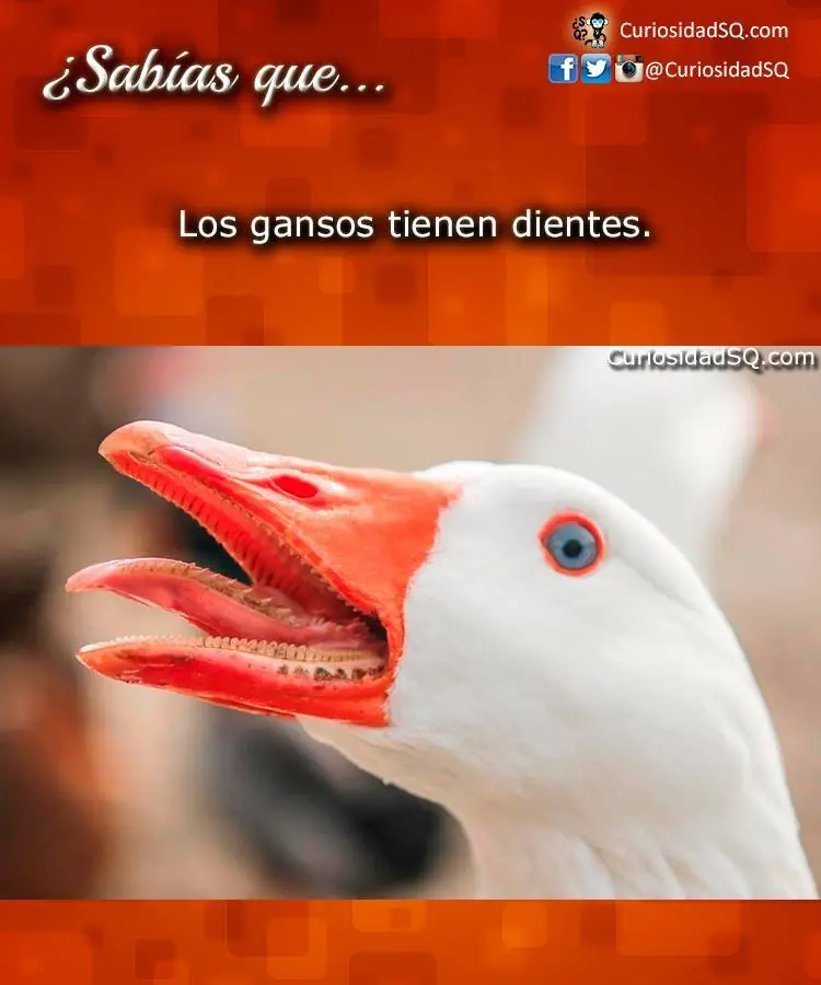 matematicas