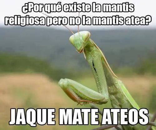 Un poco de humor ateo 6