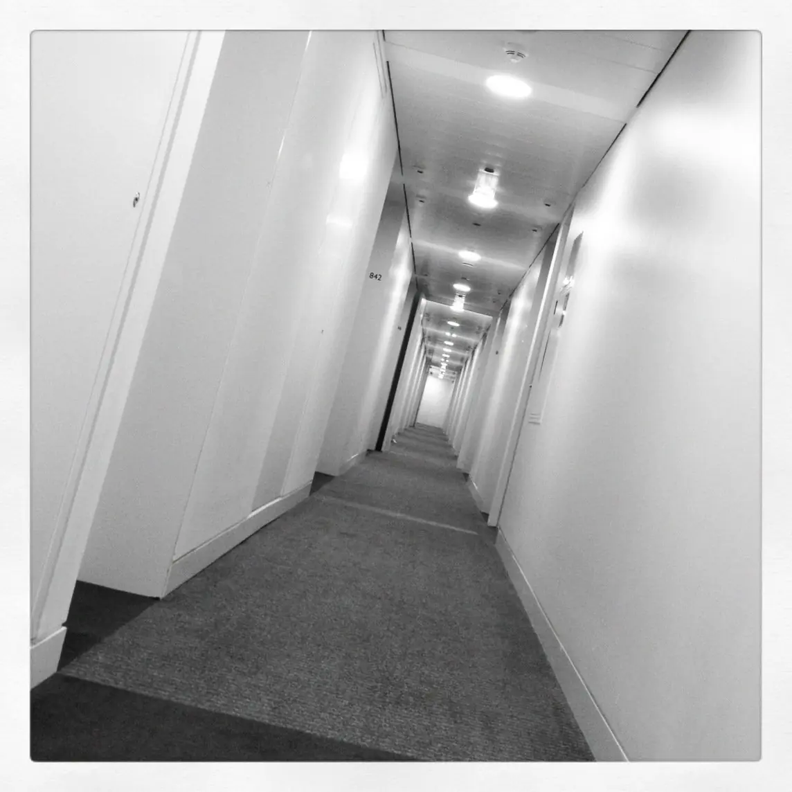 cosas que no sabias sobre herni