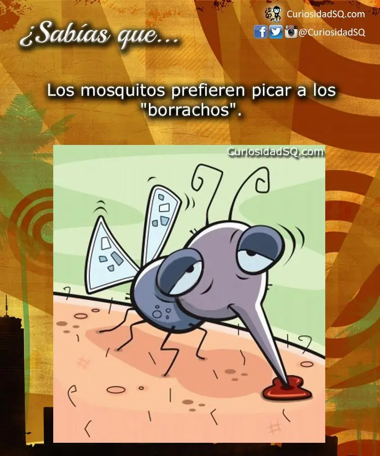 curiosidades