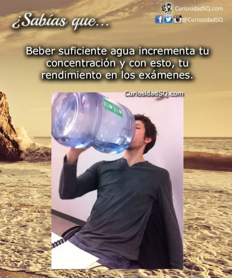 naturaleza