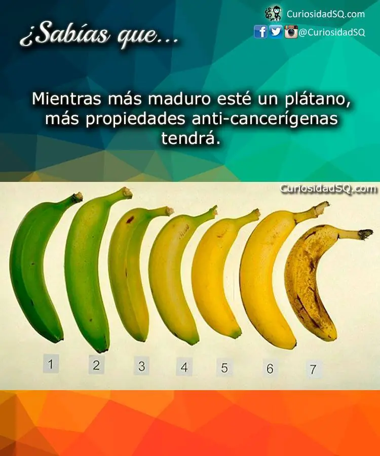tecnologia