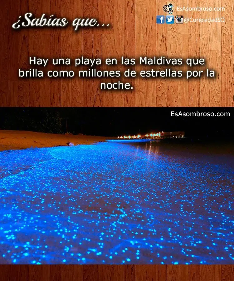 curiosidad
