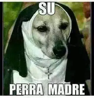 Memes para comentar en Facebook