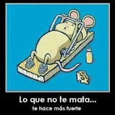 positivo