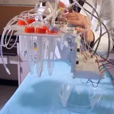 investigacion