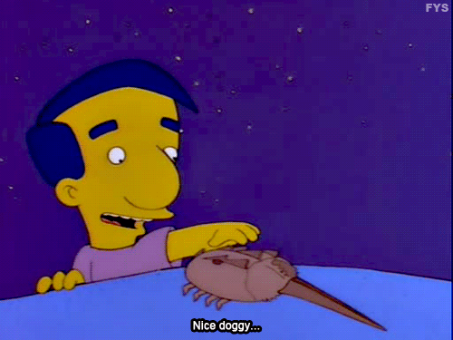 milhouse