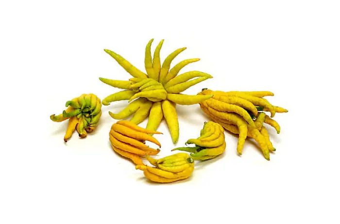 guanabana