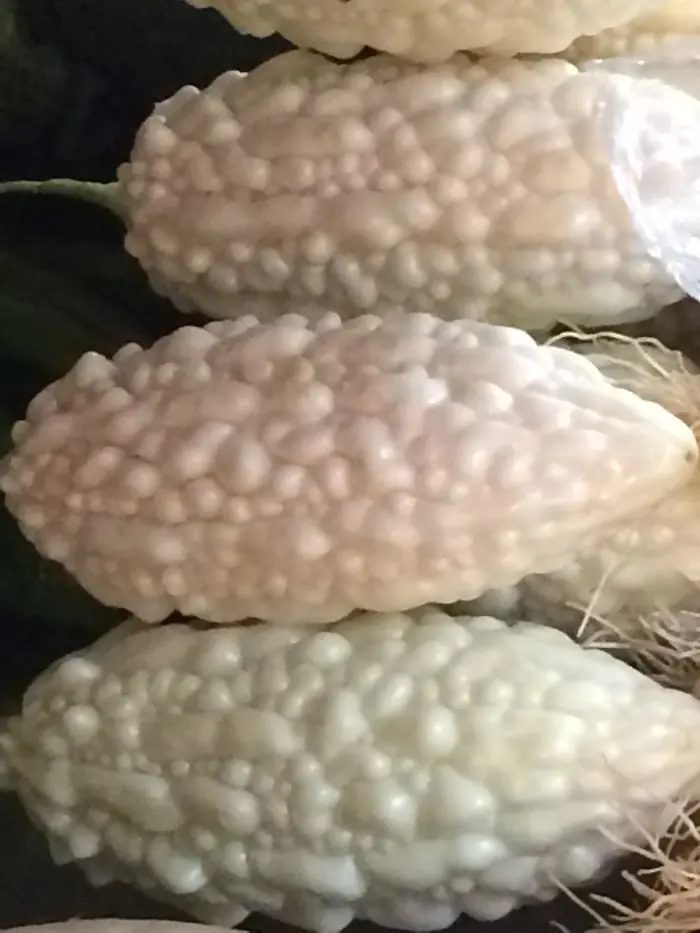 frutas
