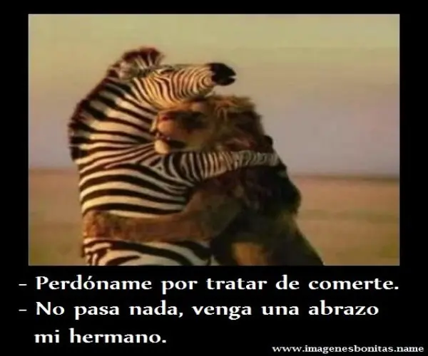 risas