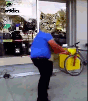 ejercito de linces