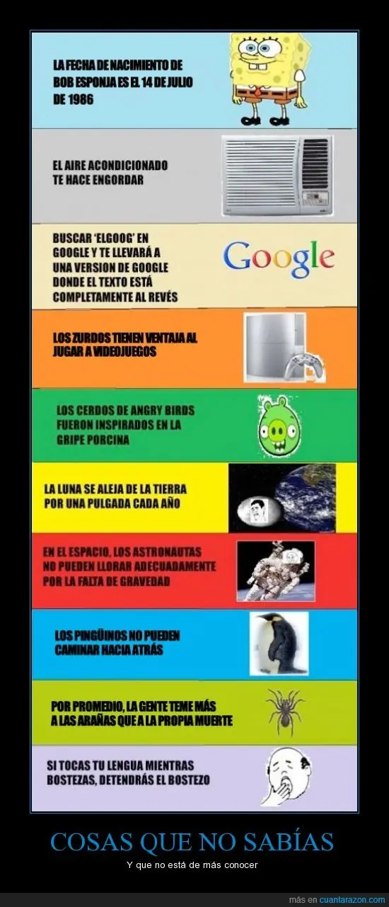gracioso xd