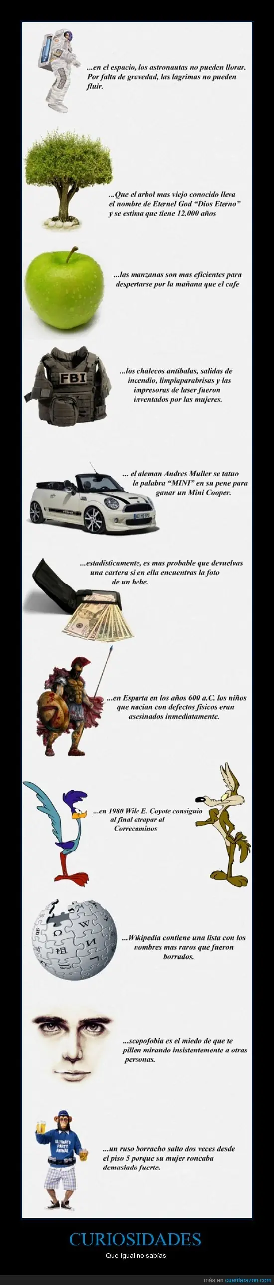 imagenes fails